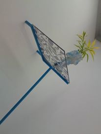 1014016_10151897587219147_929283030_n