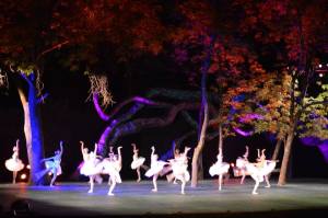 1621950_582273405202887_678882181_n