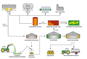biogas-2