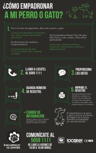 registro-mascotas-df