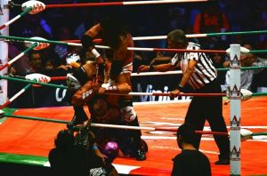 10603677_689529521133466_4439435752499914655_n