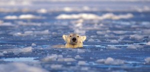 El-deshielo-artico-sigue-acelerandose-2