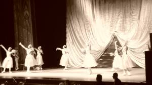 10575518_10152386551879147_1715845778_o