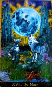 10805273_10205416160346881_902655817_n