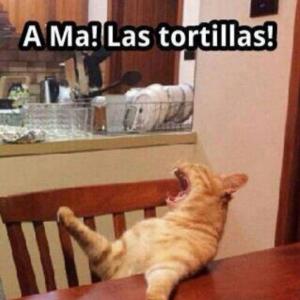 ama-las-tortillas