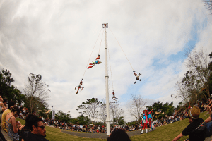 10898151_10155048359905486_4577166717469071902_n