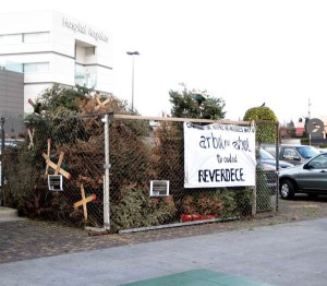 instalan-17-centros-de-reciclaje-de-arboles-de-navidad-en-df