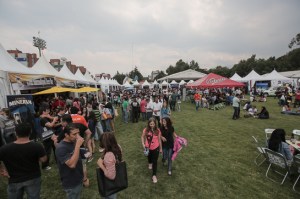 cervefest-2014_18
