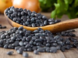 5527e20cb9379593718b4567-1428677133836