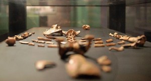 Lucy-skeleton-800x430