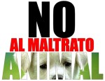 NO-AL-MALTRATO-ANIMAL.
