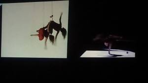 12068760_10153092799269147_8844612991421721932_o