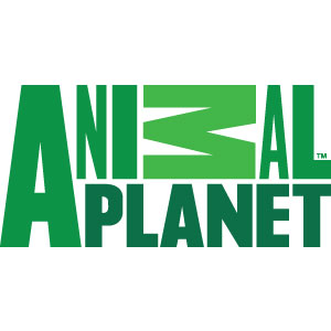 animal-planet