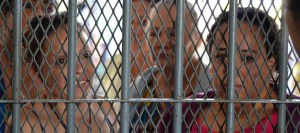 INGIGENAS VIOLENCIA (10)