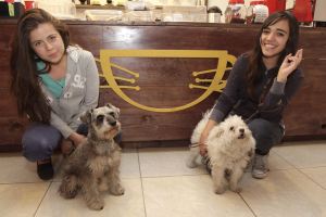 PET FRIENDLY PUEBLA (3)