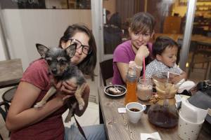 PET FRIENDLY PUEBLA (6)