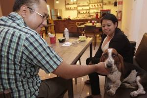 PET FRIENDLY PUEBLA (7)