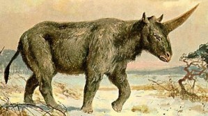 unicorn_1024--620x349