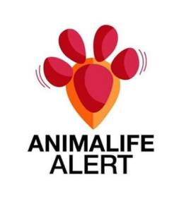 12986975_1600589413595280_3567816209986691047_n