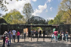 Zoologico-de-Chapultepec-1