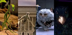 animales-fantasticos-5