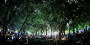 screen-shot-2017-01-11-at-3-56-23-pm-1200x600