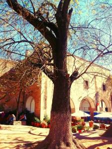 16730779_1217656814970307_2087602848_n