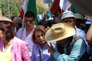 miranda-de-wallace-2