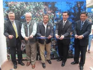 MARIPOSARIO TELCEL (19)