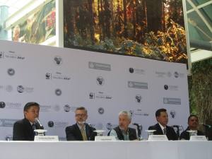 MARIPOSARIO TELCEL (3)