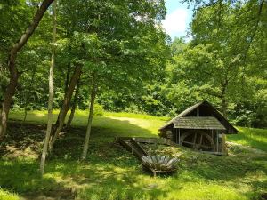 19873833_1337386226308387_1732560219_n