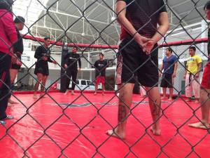 17951530_1524046494286467_4554136074632647009_n