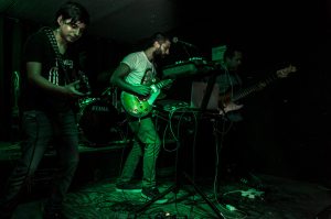 14195257_556797601177511_1766488845613561606_o