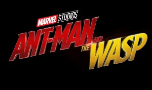 ANT MAN Y AVISPA FORMATO CASERO (3)