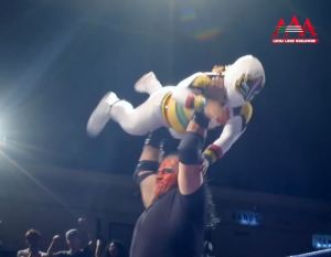 galletas emperador aaa (2)