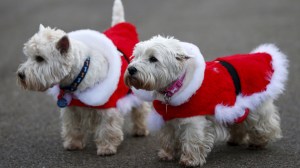 Ol4KeUPWYcBNJgyXglUX25