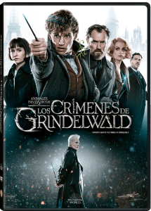 52989903_2306892352888742_2943863493410947072_n