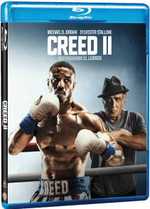 60358793_363555890943735_5515964543349555200_n