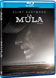 60793004_432017397599475_7051917545015607296_n