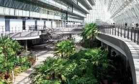 hospitalverde.jpg_1748470098