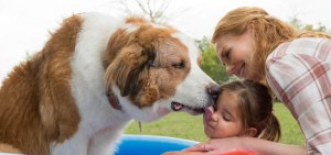 zanzt-m8uus_g-l69nffmq