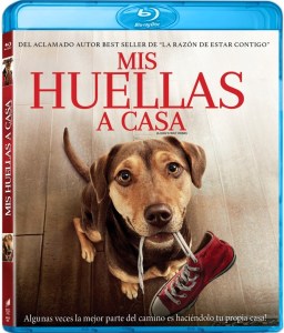 67196644_1378773425607693_4266766811317403648_n